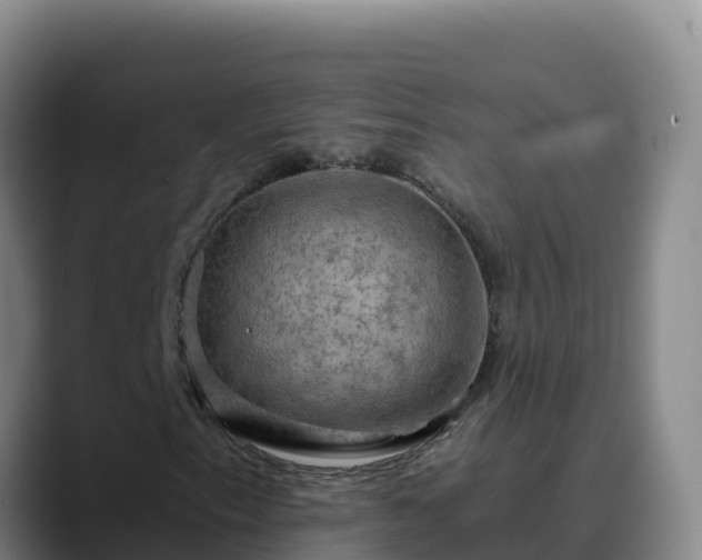 X0000090431153200707201131