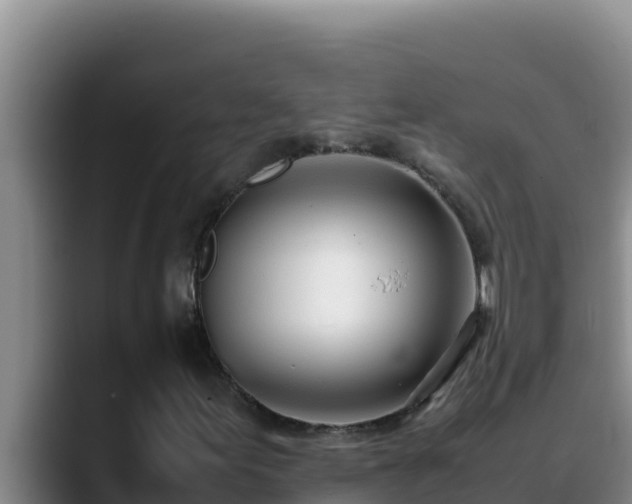 X0000090431155200707201131
