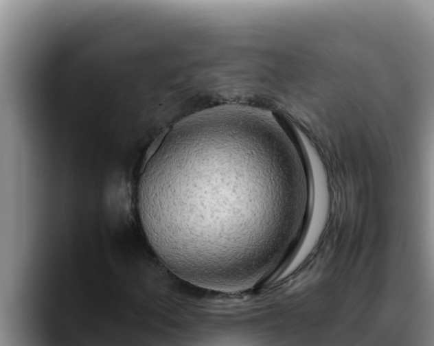 X0000090431156200707201131