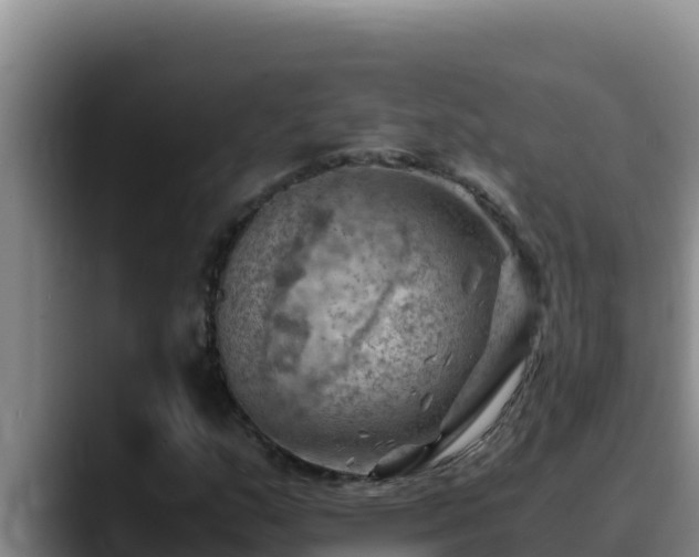 X0000090431159200707201131