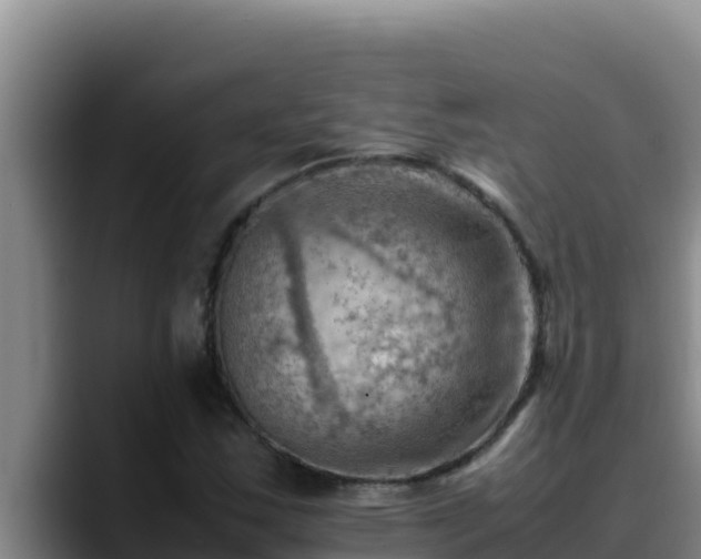 X0000090431163200707201131