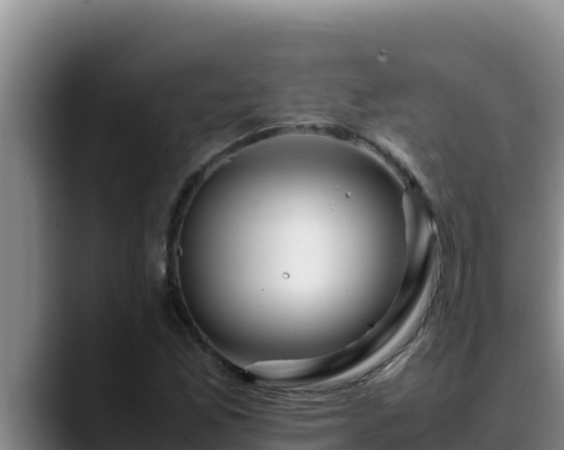 X0000090431165200707201131