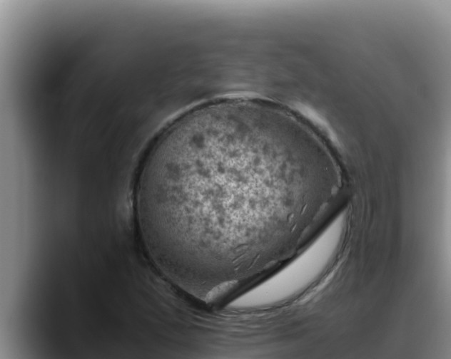 X0000090431167200707201131