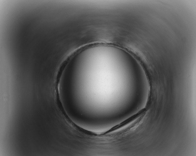 X0000090431168200707201131
