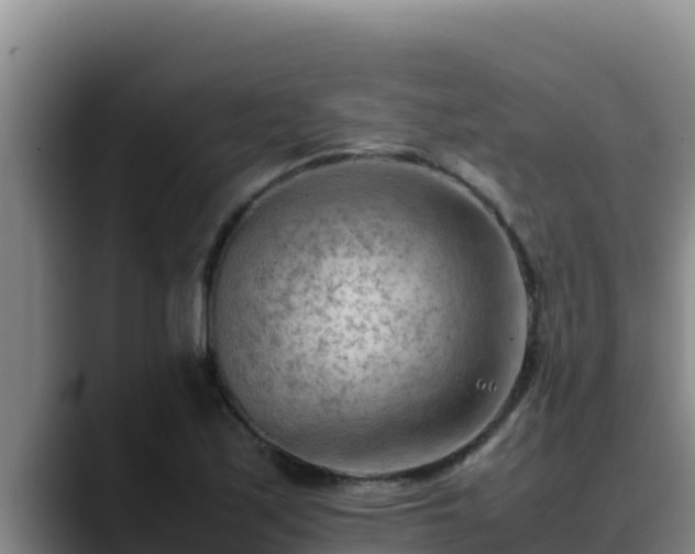 X0000090431171200707201131