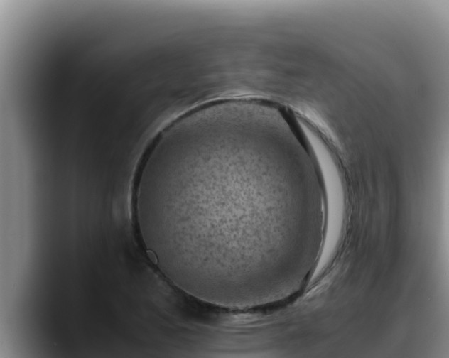 X0000090431173200707201131