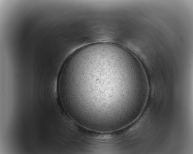 X0000090431174200707201131
