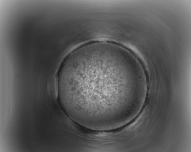 X0000090431175200707201131