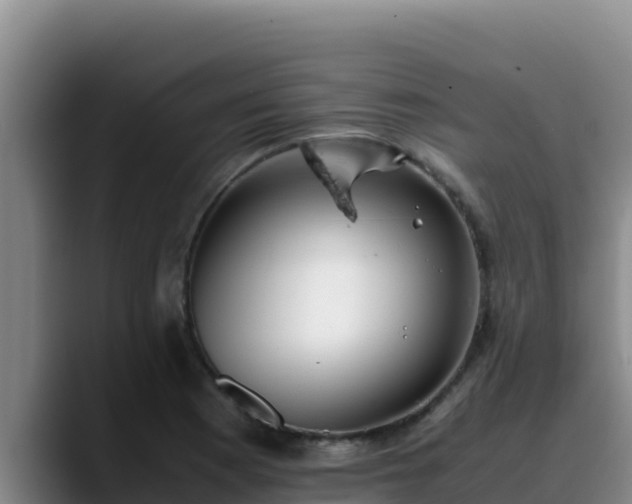 X0000090431177200707201131