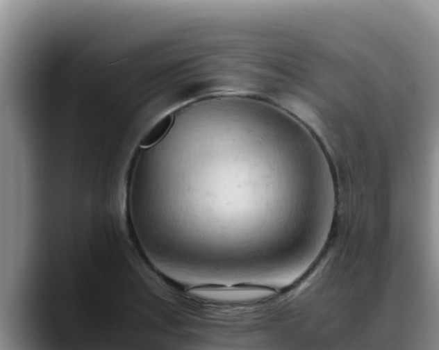 X0000090431179200707201131