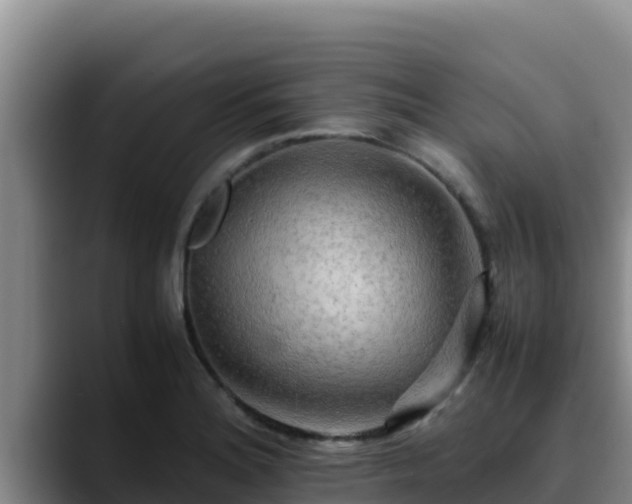X0000090431180200707201131