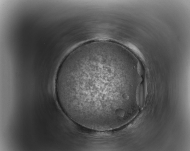 X0000090431183200707201131