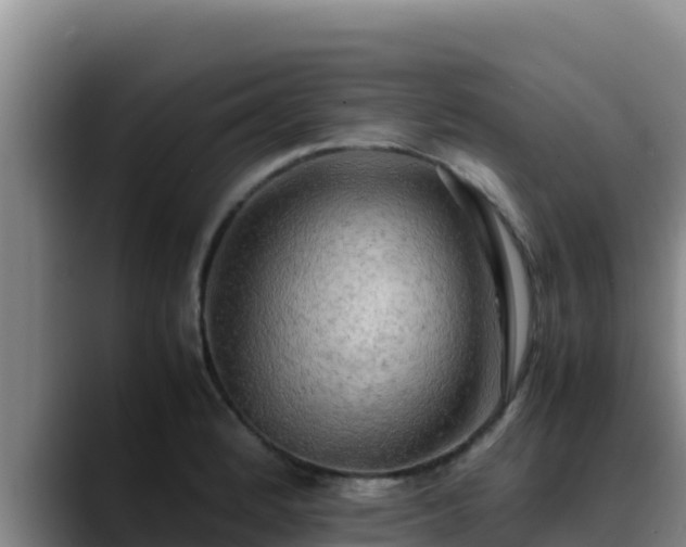 X0000090431184200707201131