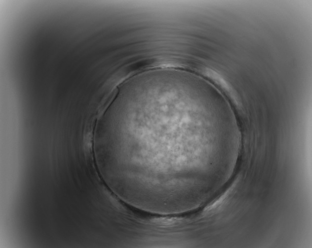 X0000090431185200707201131