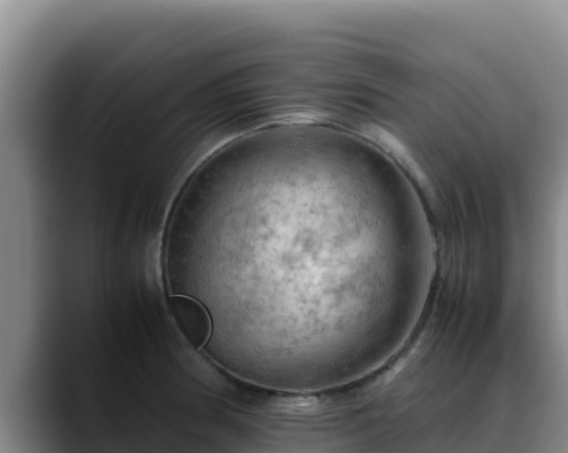 X0000090431186200707201131