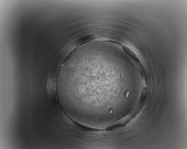 X0000090431193200707201130