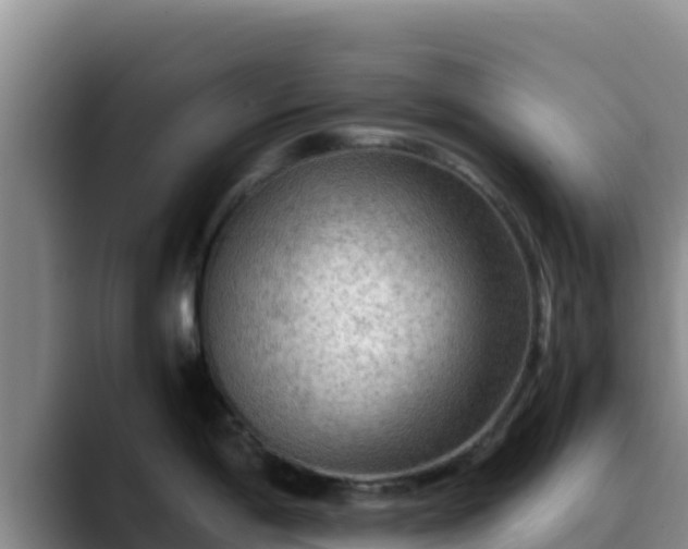 X0000090431198200707201130