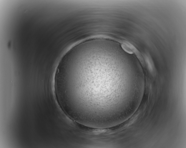 X0000090431199200707201130