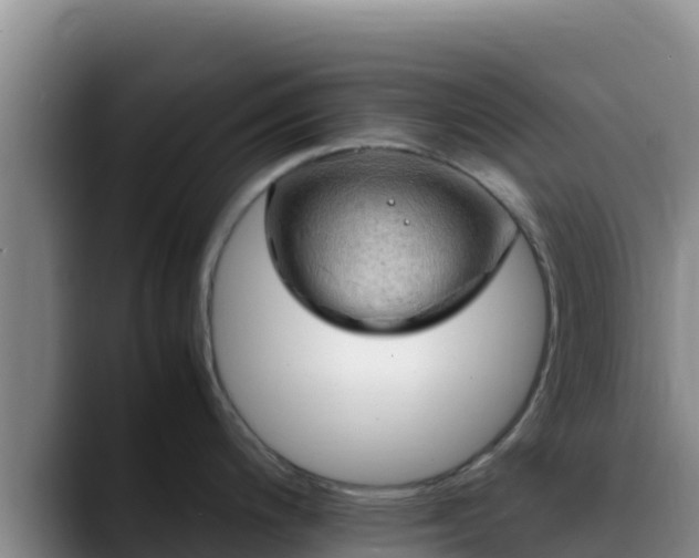 X0000090431200200707201130