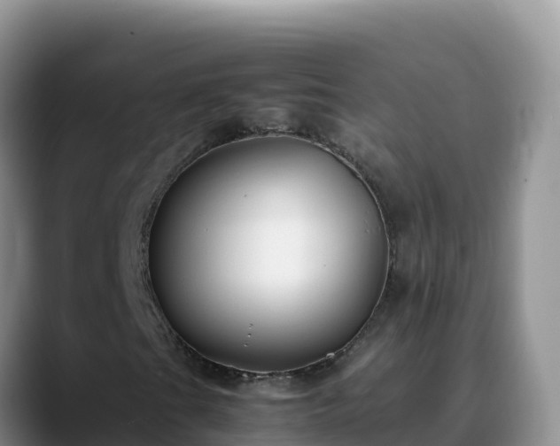 X0000090431201200707201130