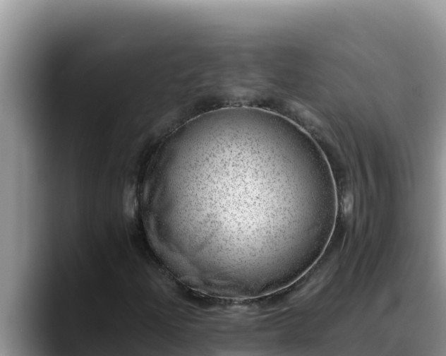 X0000090431204200707201130