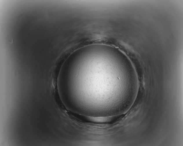 X0000090431206200707201130