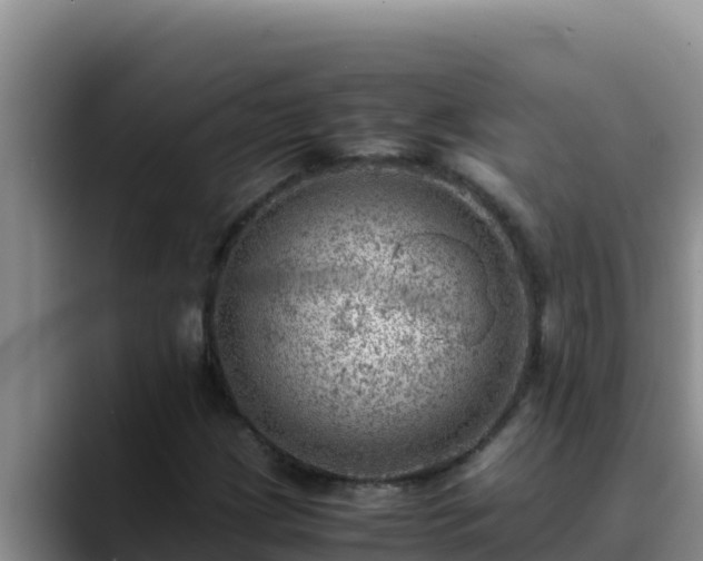 X0000090431209200707201130