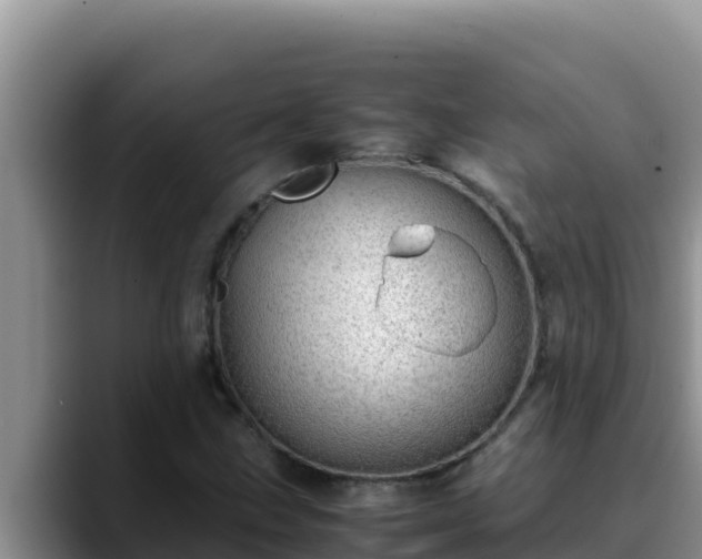 X0000090431211200707201130