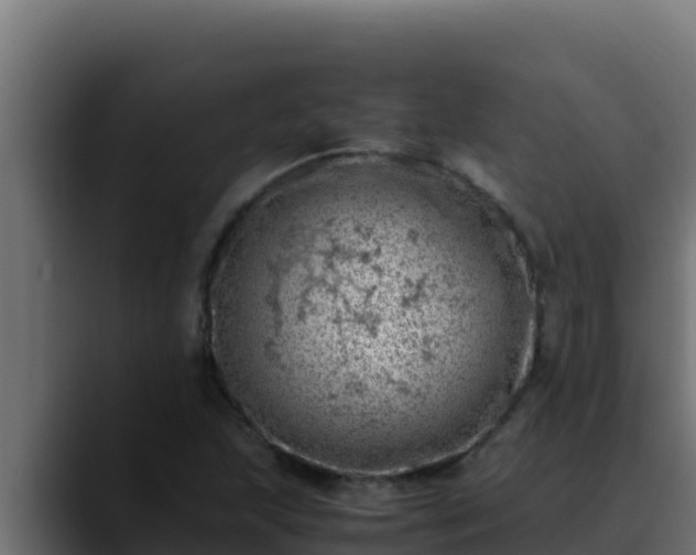 X0000090431215200707201130