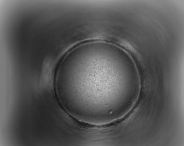 X0000090431216200707201130