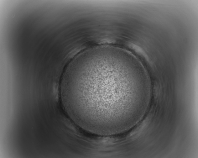 X0000090431217200707201130