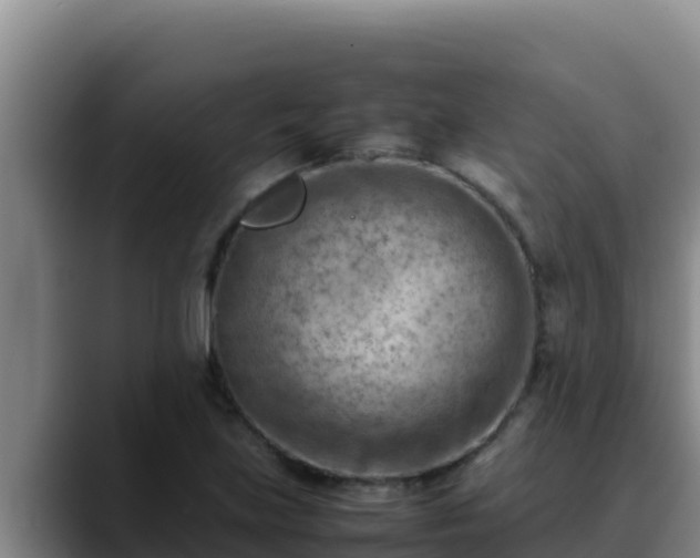 X0000090431219200707201130