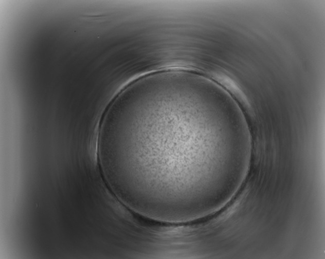 X0000090431228200707201130