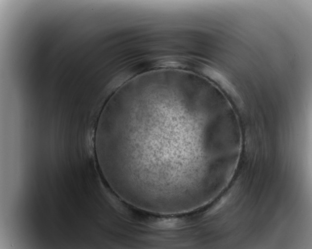 X0000090431233200707201130