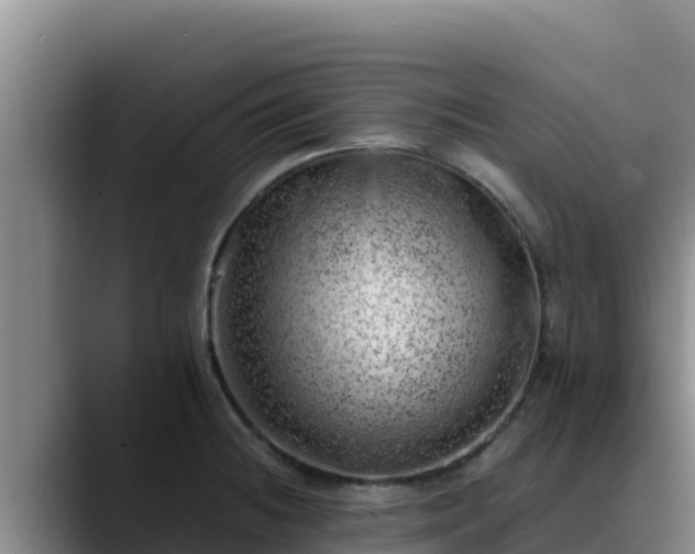 X0000090431236200707201130