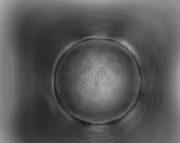 X0000090431237200707201130