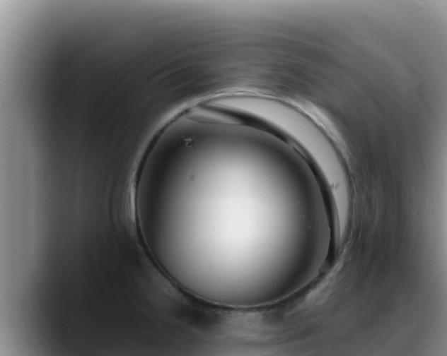 X0000090431238200707201130