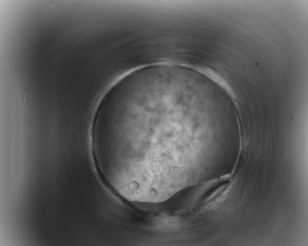 X0000090431239200707201130