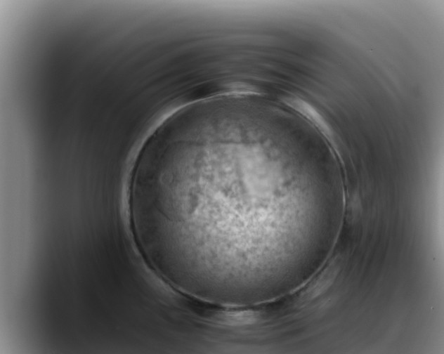 X0000090431243200707201130