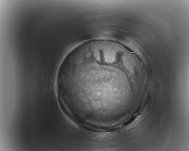X0000090431247200707201130