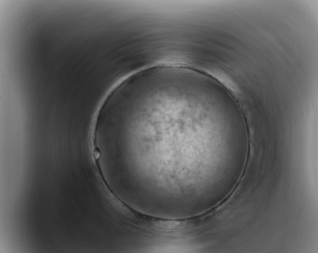 X0000090431248200707201130