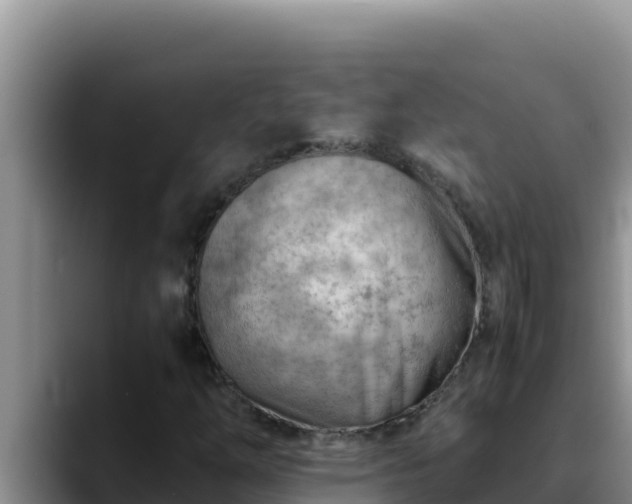 X0000090431254200707201130