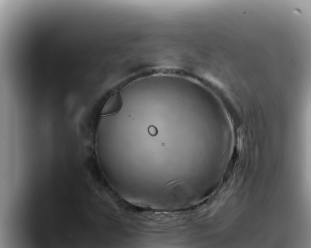 X0000090431255200707201130