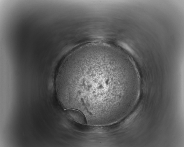 X0000090431259200707201130