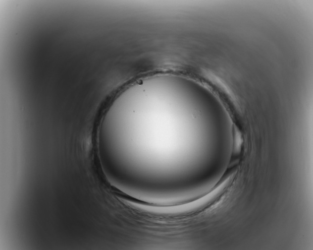 X0000090431261200707201130