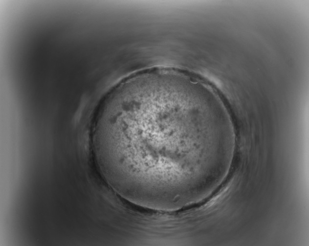 X0000090431263200707201130