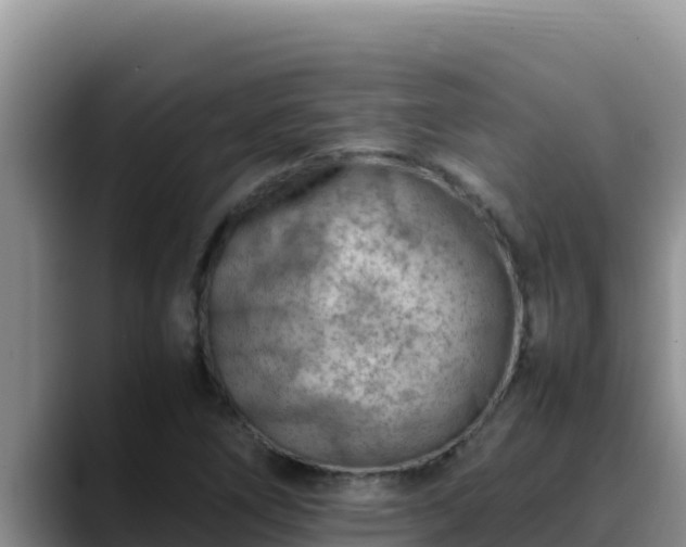 X0000090431266200707201130