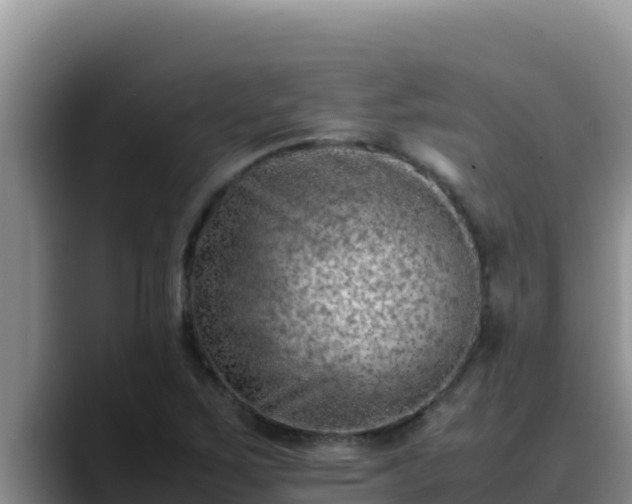 X0000090431267200707201130