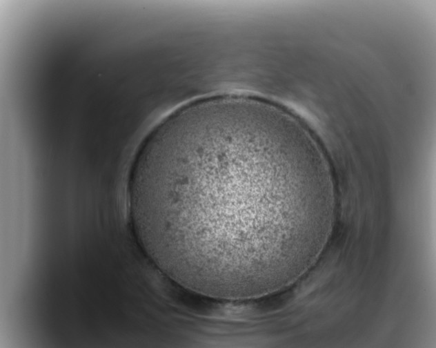 X0000090431271200707201130