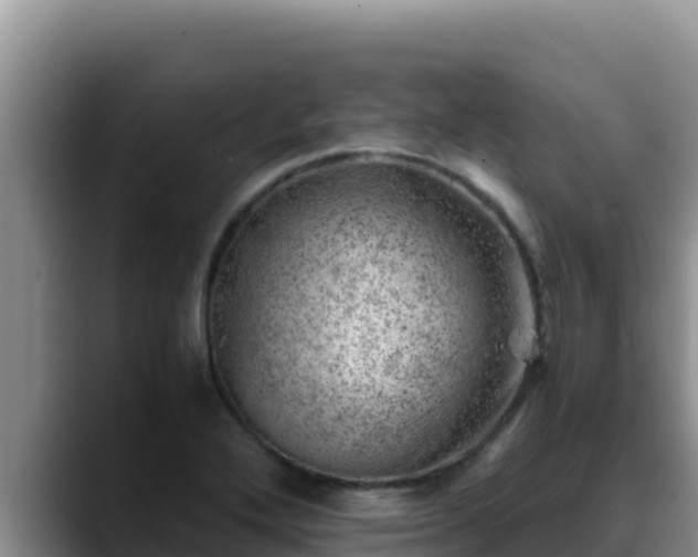 X0000090431272200707201130